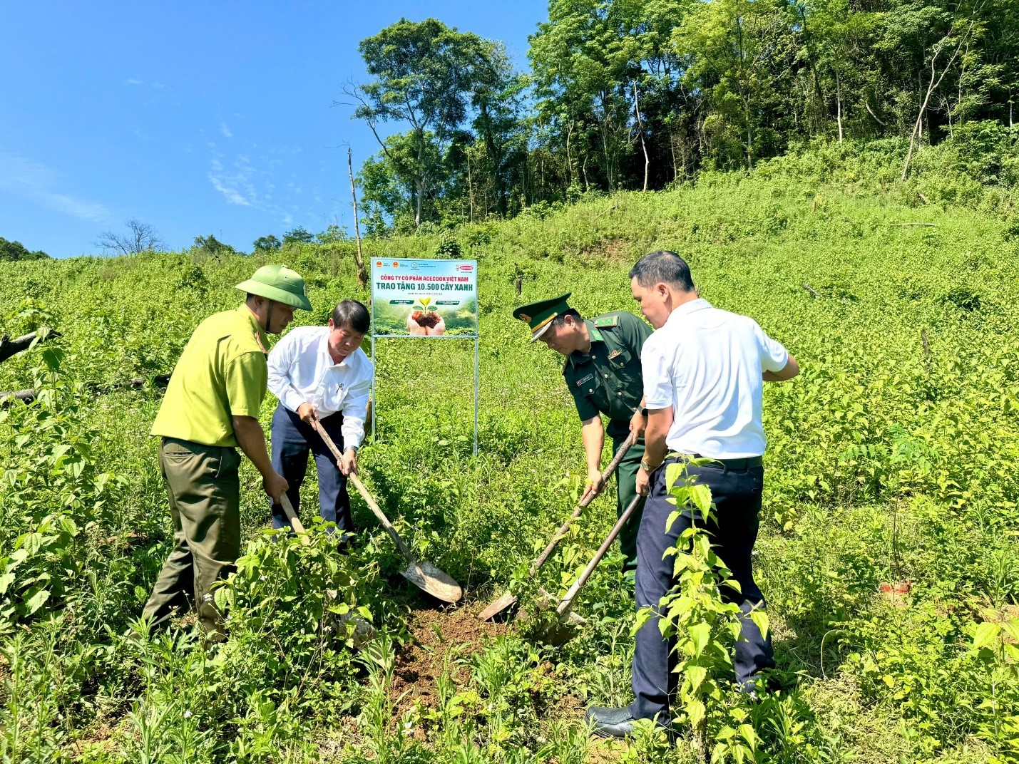 Khu vực trồng cây thuộc thôn Trăng – Tà Puồng, xã Hướng Lập, tỉnh Quảng Trị